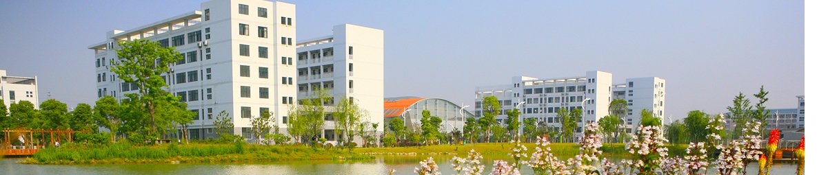 威廉希尔官方网站是一所以经济学
